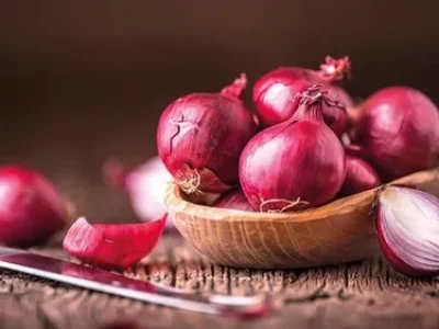 red-super-fresh-export-quality-fursungi-onion-500x500